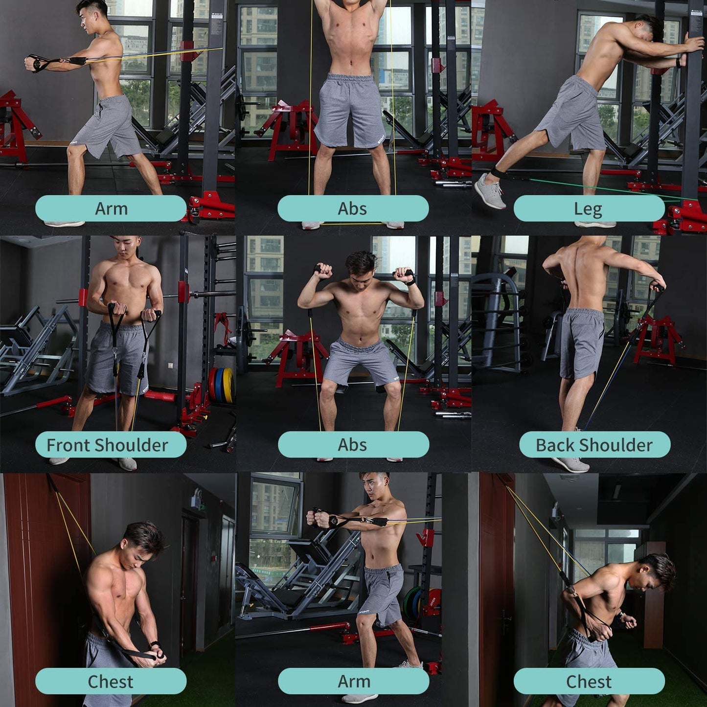 Calisthenics Companion 11 Pack Resistance Bands